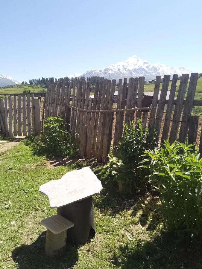 Tsvirmi Zviadi'S Guesthouse ميستيا المظهر الخارجي الصورة